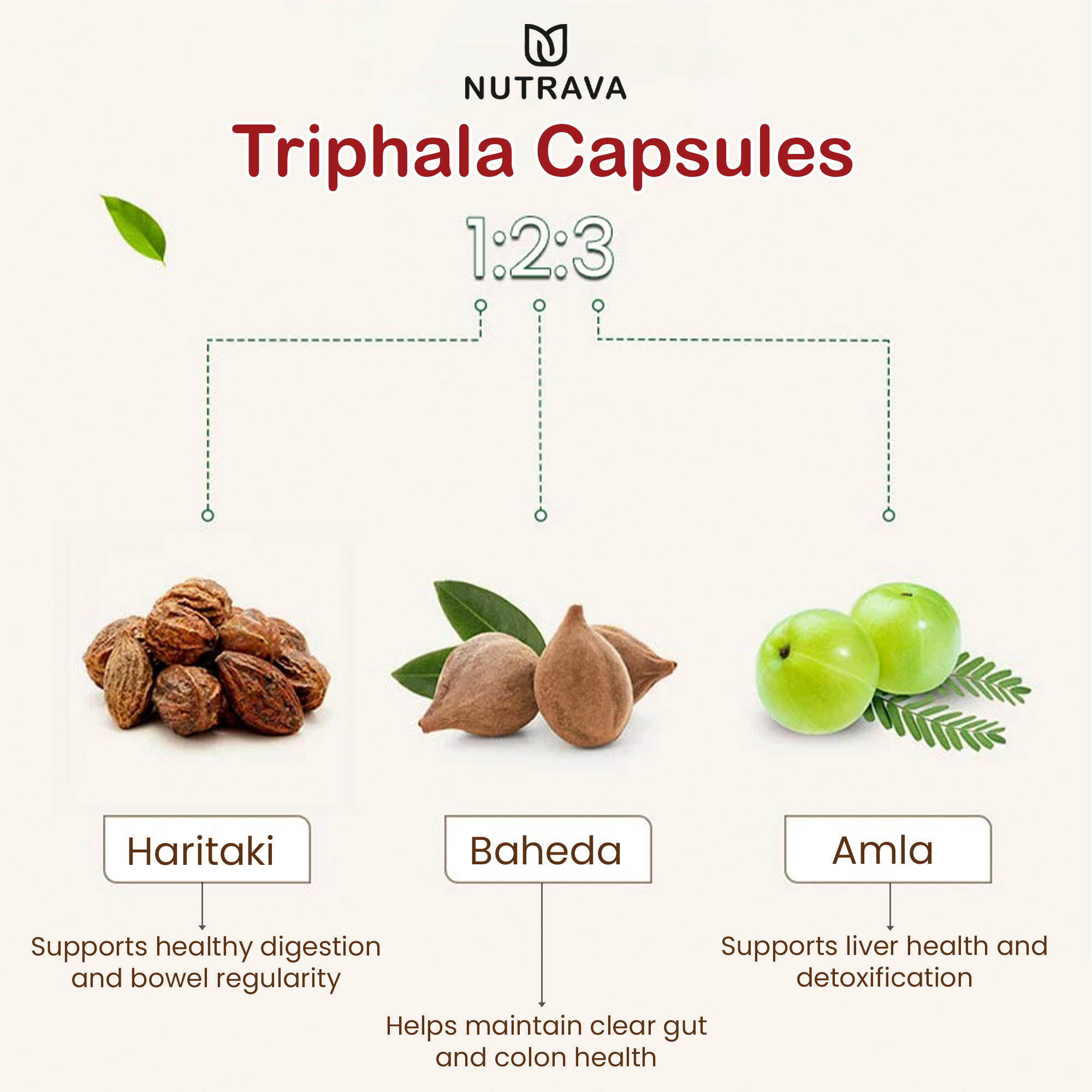 artboard 5 artboard 5