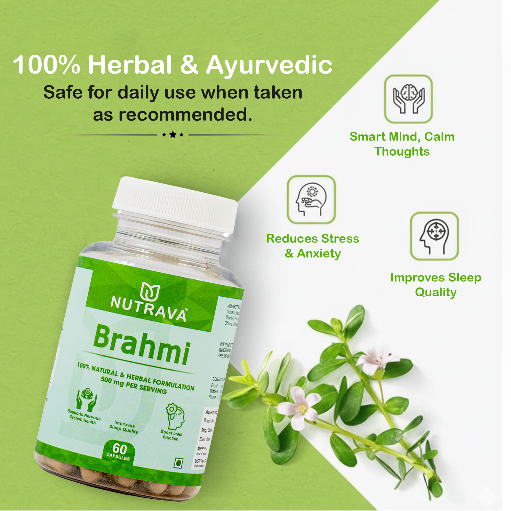 artboard 5 artboard 5