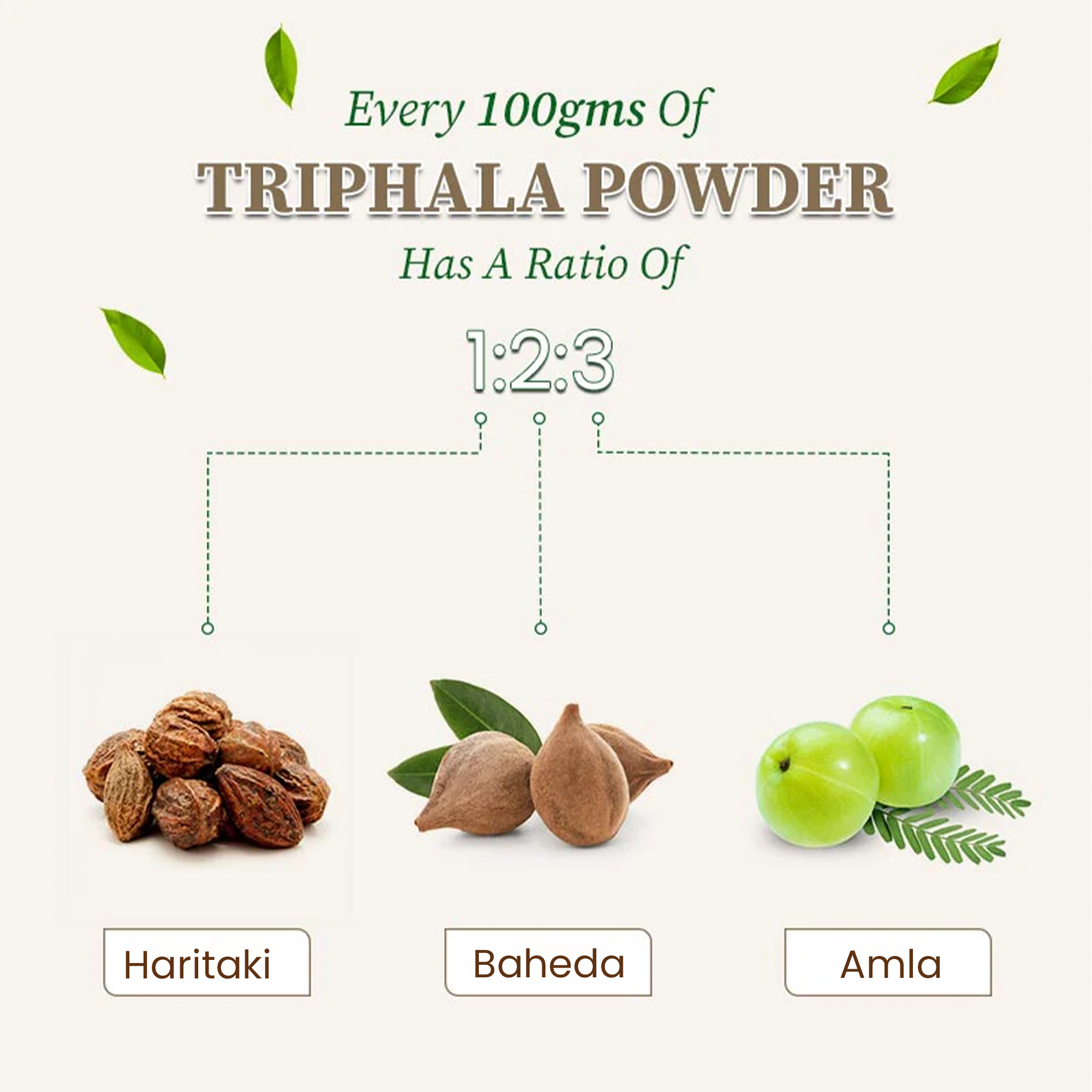 artboard 8 artboard 8